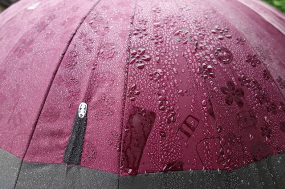 umbrella83