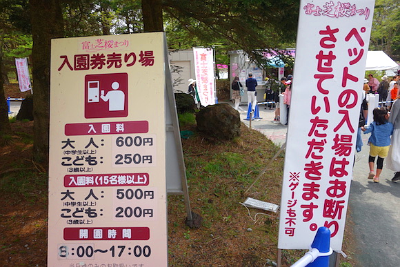 Shibazakura03