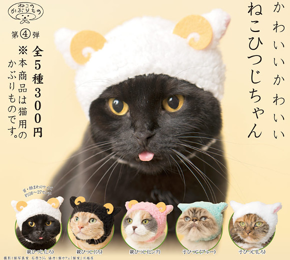 nekohitsujitop2