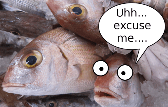 How you know your fish is too fresh: when it comes with a warning “may come back to life” 【Pics】