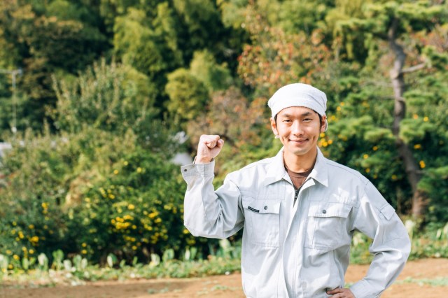 Hokkaido and Osaka team up to send NEETs to agricultural sectors to do some productive work