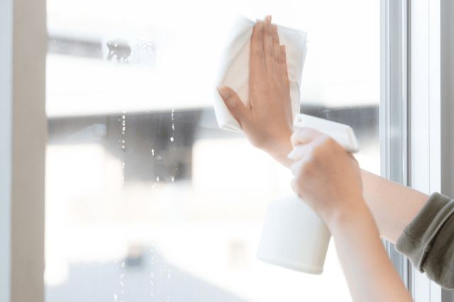 Japanese professor says women should NOT marry a guy who promises to help with the housework