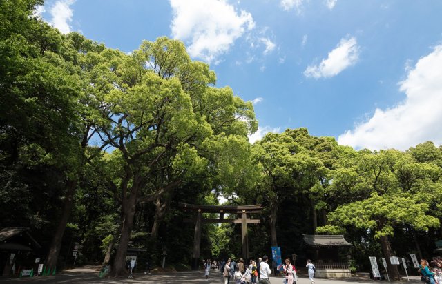 What are the top 10 most popular shrines among international tourists? Study reveals…