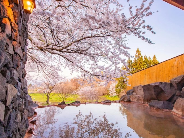 Japan’s top 10 open-air hot spring baths with cherry blossom views【Survey】